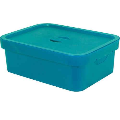 CAJA MERCURIO 10.5 LTS 38113C [PEYO]
