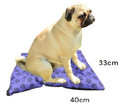 CAMA DE PERRO MINI [DEMETRIO]