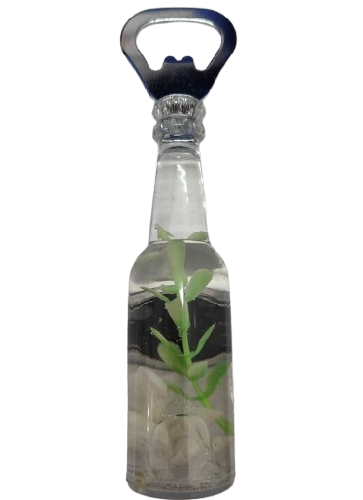 DESTAPADOR EN FORMA DE BOTELLA CON CONCHITAS [T]