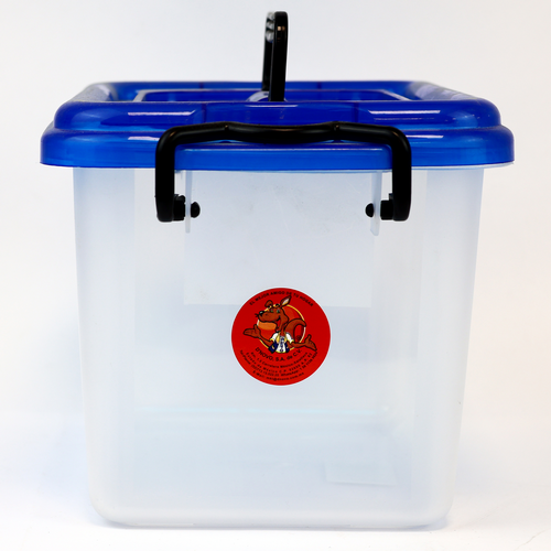 CAJA LEO 6.5 LTS [PEYO]