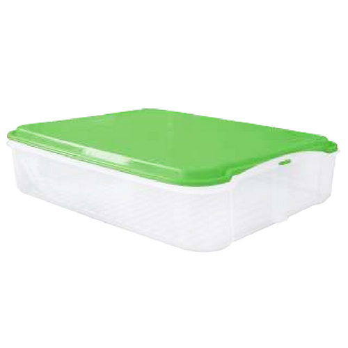 RECIPIENTE ALICAMPO 3.5 L VERDE CLARIF [ALICA]