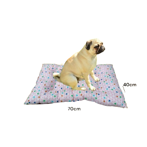 CAMA PERRO GRANDE [DEMETRIO]